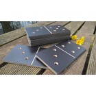 Spēle "Dārza domino"